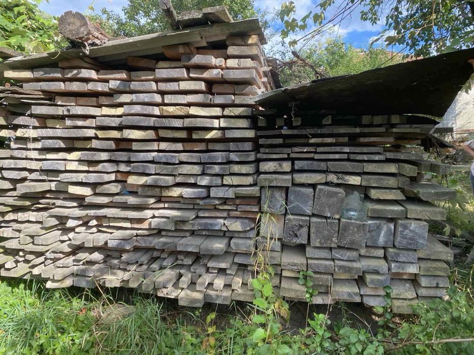 Сосновий ліс на верх