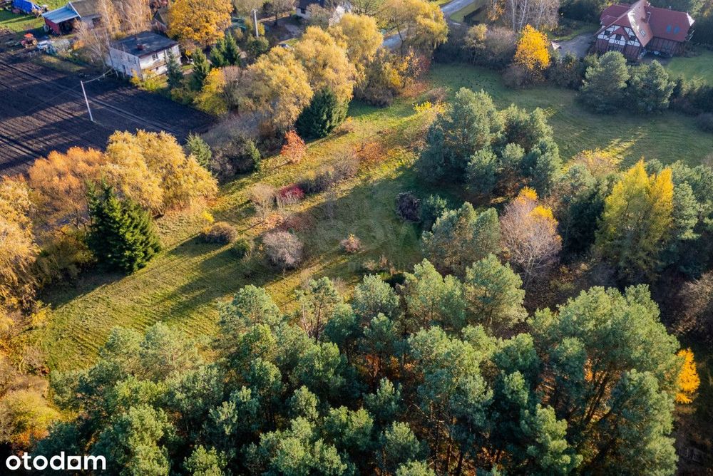 Działka budowlana tuż przy lesie WZ - Widok 6