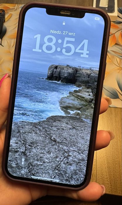 Iphone 12 pro max