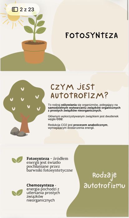 Korepetycje z biologii