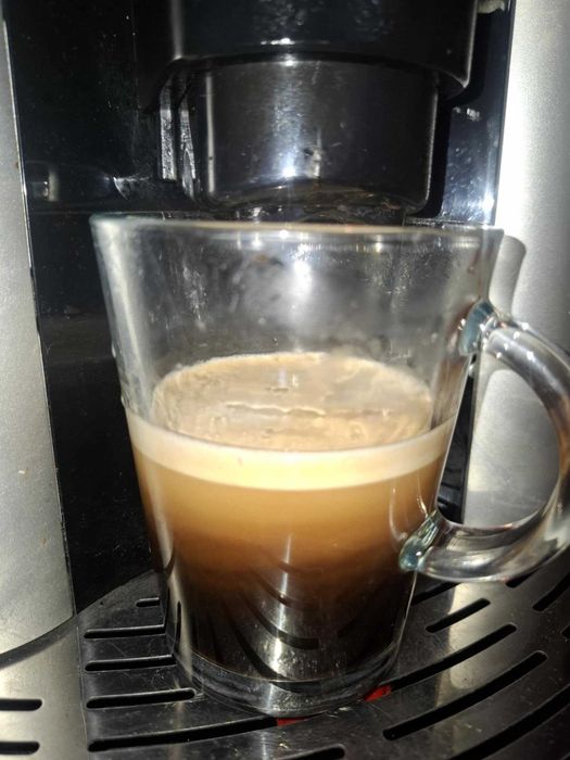 ekspres Delonghi model Magnifica