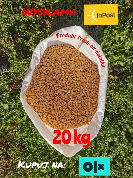 Groch połówki opakowanie 20kg wysyłka natychmiast Inpost
