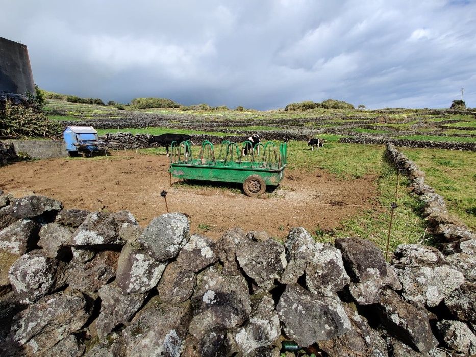 Terreno no lugar das Terras (Lajes do Pico) com fantástica vista