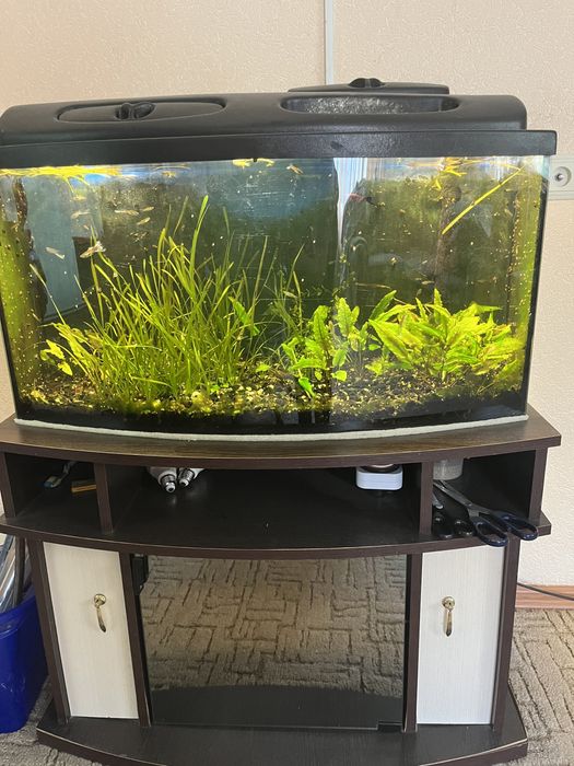 Акваріум 100 л та 250 л