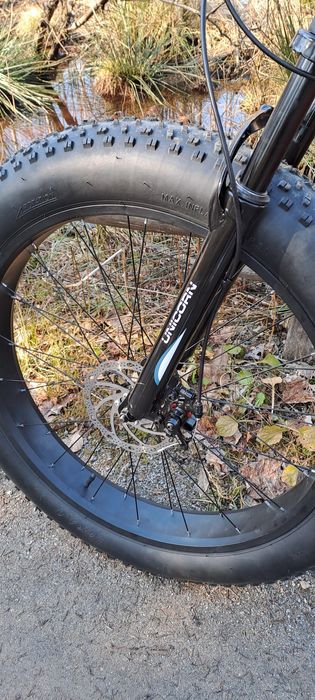 Rower    fatbike