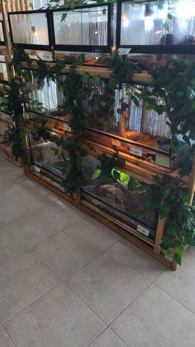 Estrutura de terrarios 60 cm,