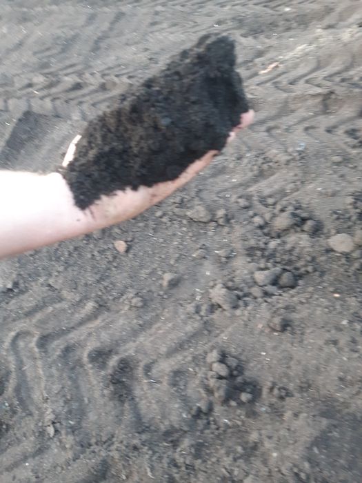 Czarnoziem na tony luzem lub na worki po 25kg 6,5 PH