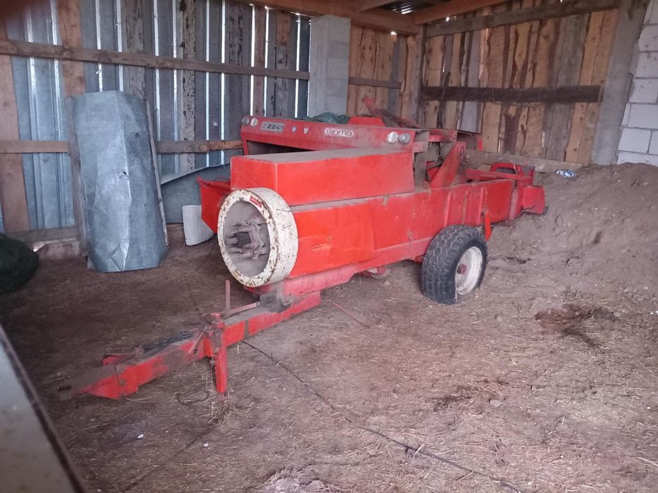 Sprzedam prase kostkującą sipma