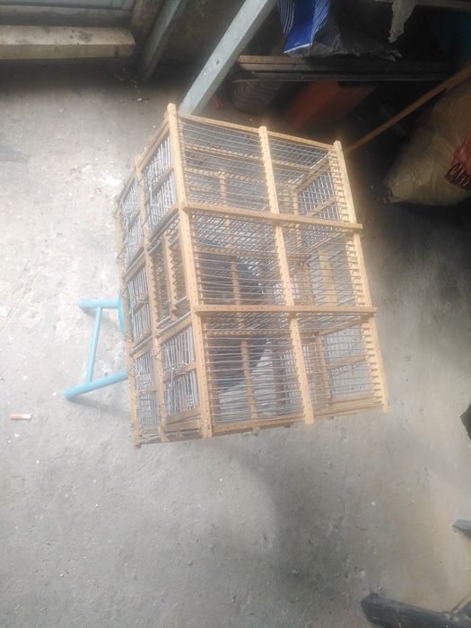 Alçapão automático