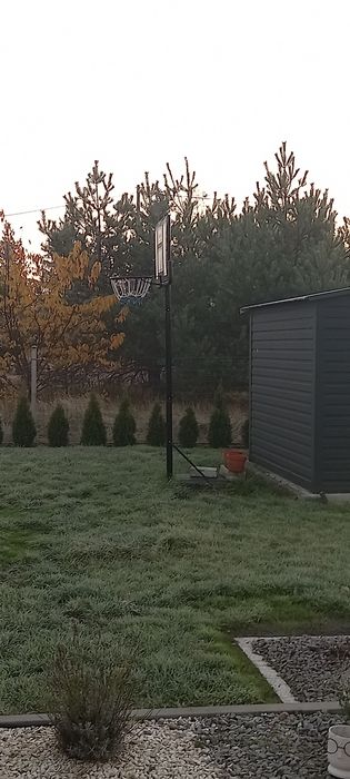 Duży kosz do koszykówki