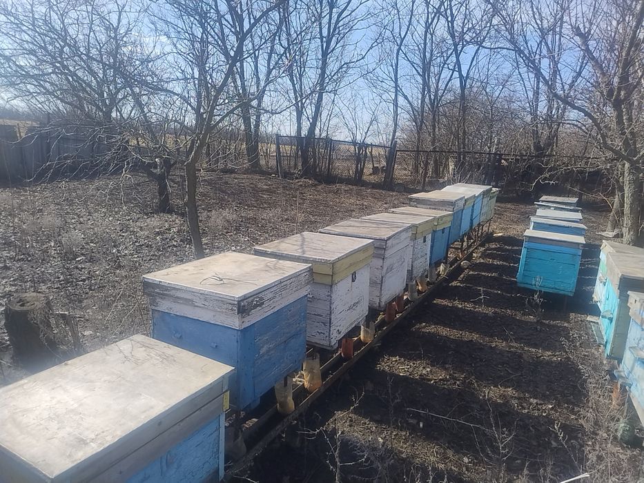 Продам вулики для бджіл