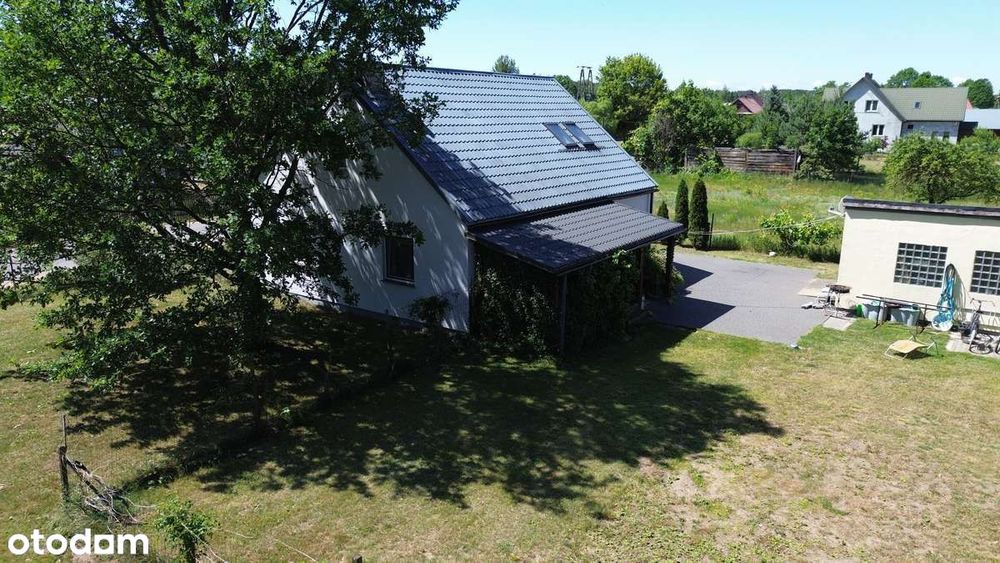 Werstok w Prawdzowej Puszczy Bialowieskiej. Podlasie