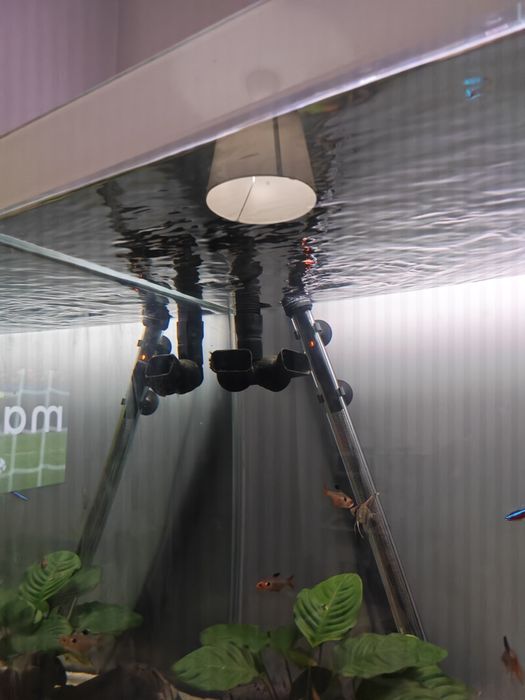 Vendo Fluval FX4 , Eheim 2128