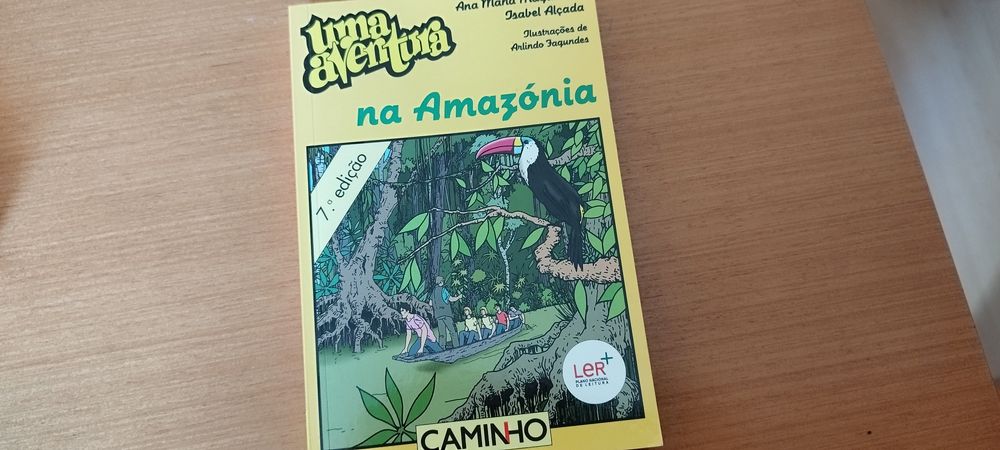 Livros infantis/juvenis (2)