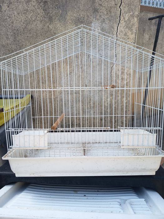 Gaiola para pássaros brancas