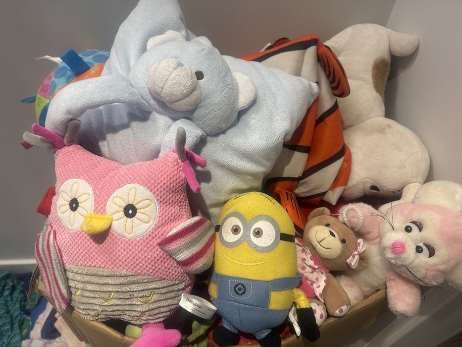 Maskotki duży karton