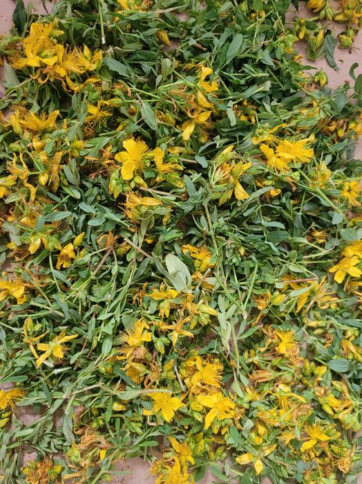 Ziele dziurawca suszone 40gram