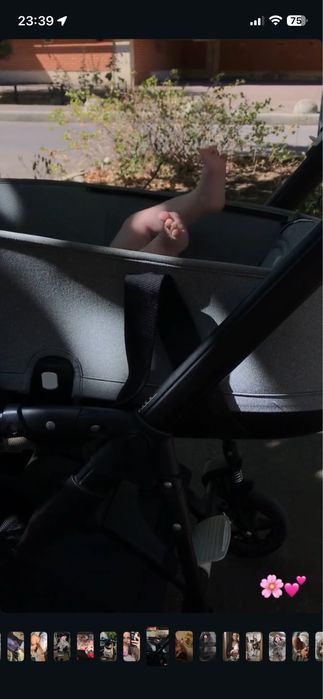 Коляска bugaboo bee 5