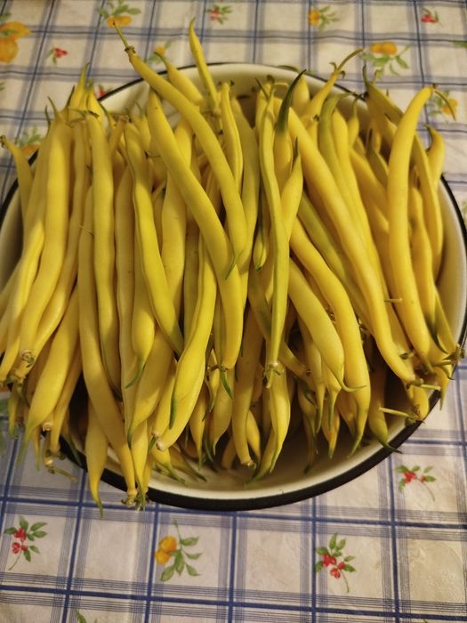 Спаржевая квасоля, спаржевая фасоль