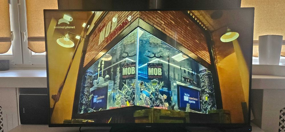 Telewizor Philips 4K UHD 49cali