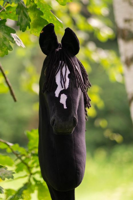 konik hobby horse
