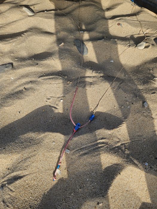 Kite north rebel 8m