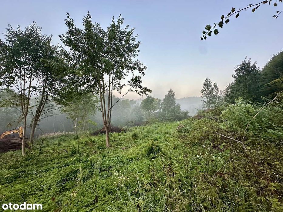 Solina 1,97 ha | MPZP | pod inwestycję (podział/domki) | PUM do 2800m2
