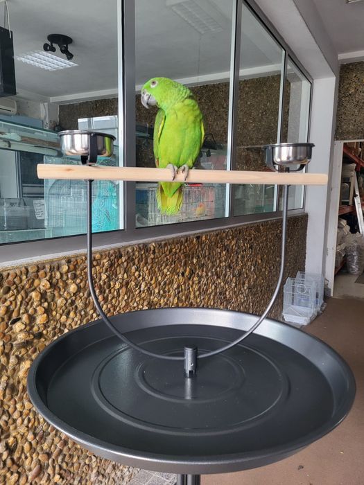 Gaiolas diversos modelos