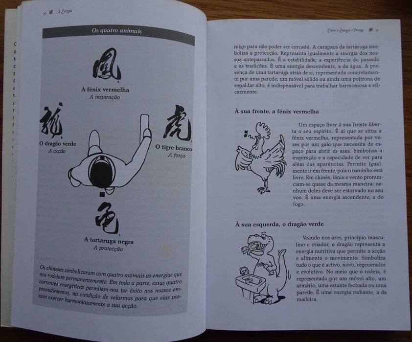 Feng Shui Nos Negócios de Siska Von Saxenburg