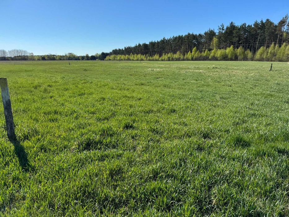 Działka Budowlana  1500m2