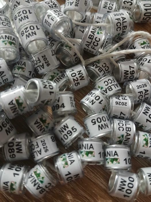 Obrączki dla gołębi pocztowych 2026