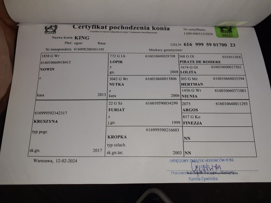 Sprzedam Ogiera  Taranta