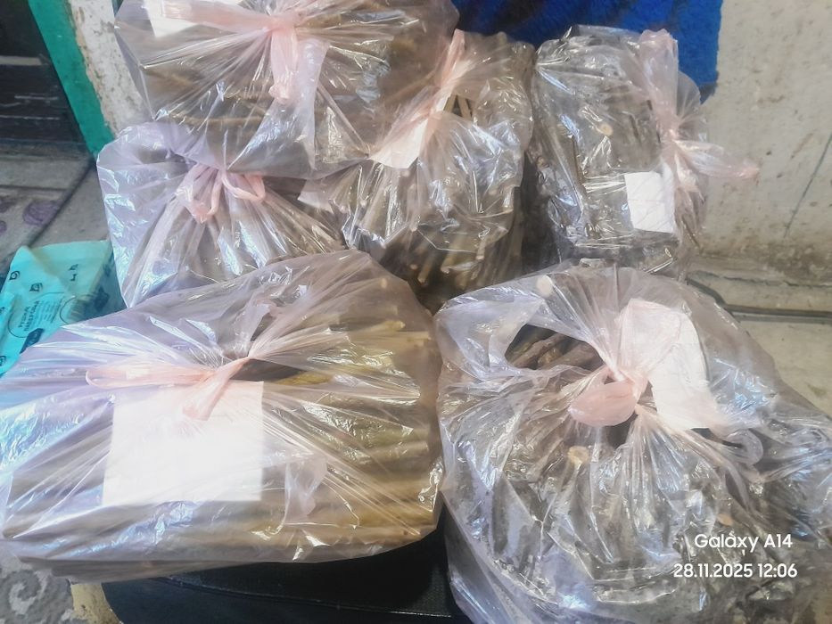 Черенки граната хурмы азимины