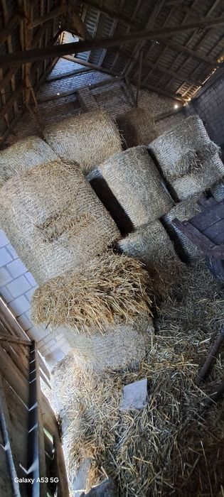 Słoma sucha  ze stodoly