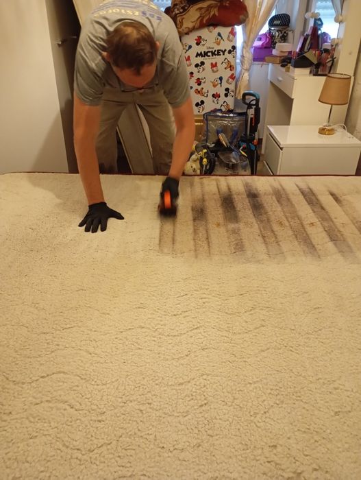 Limpeza e higienização de sofás colchões tapetes carpetes e alcatifas