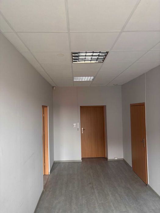 lokal do wynajęcia