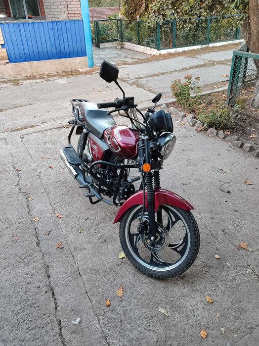 Мустанг фіт 125.