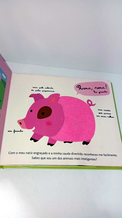 A Minha Quinta para sentir