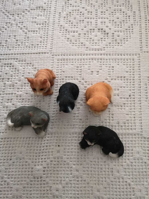 conjunto de 5 gatitos