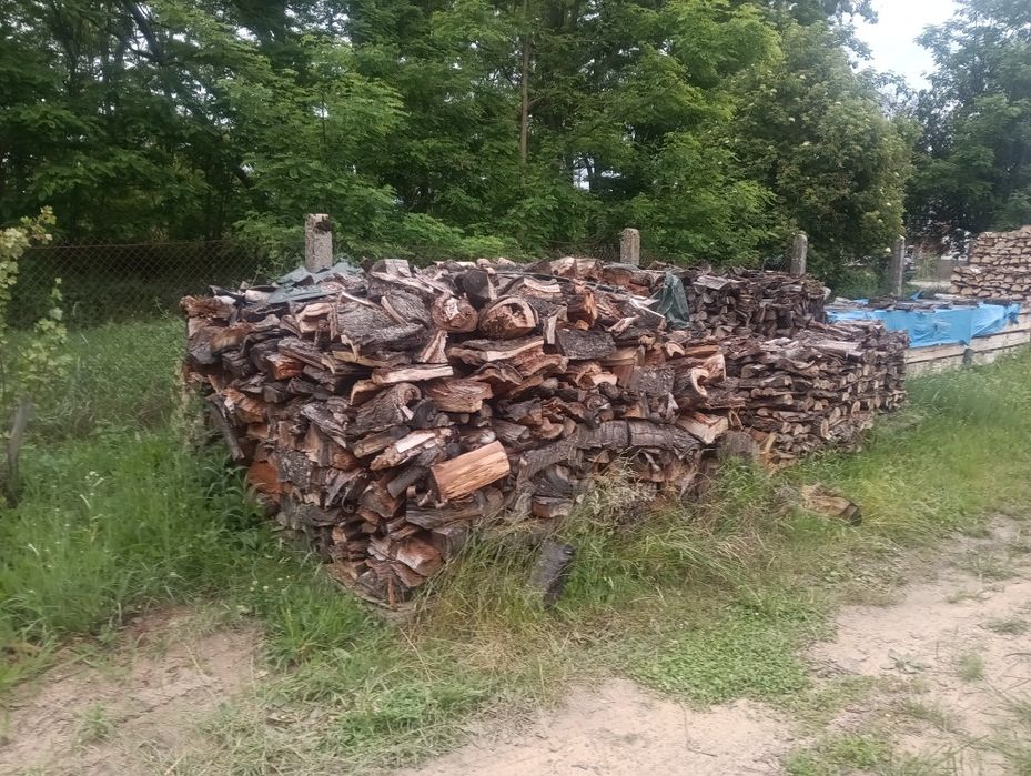 Drewno opałowe czereśnia, wiśnia do wędzenia