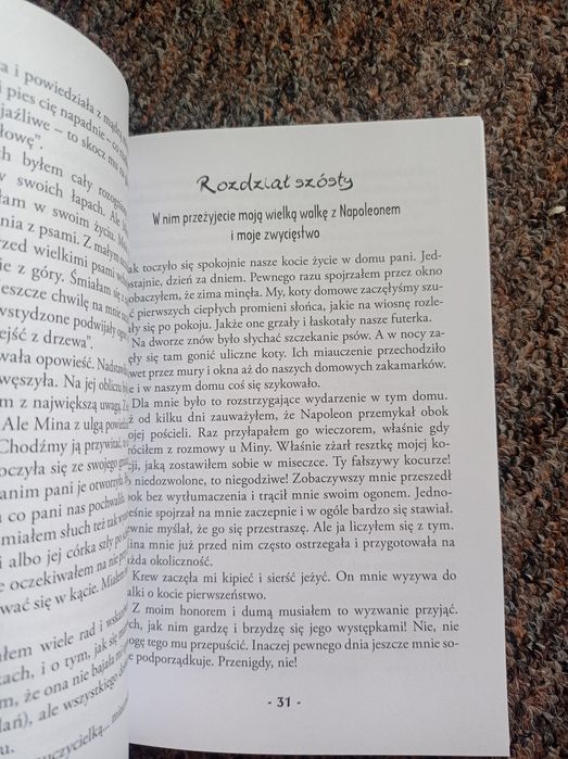 Kocurek stani Ben budar