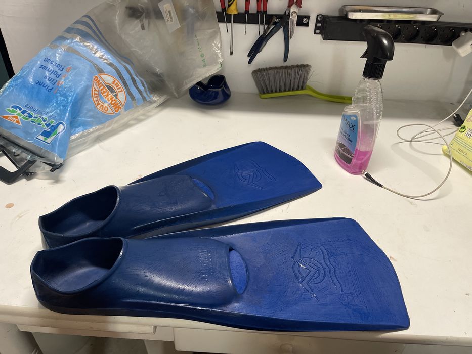 Barbatanas gabbiano francis