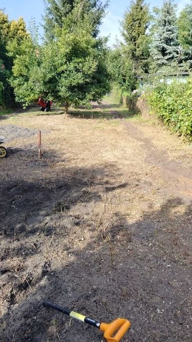 GreenAxe – wycinka drzew i porządkowanie działek