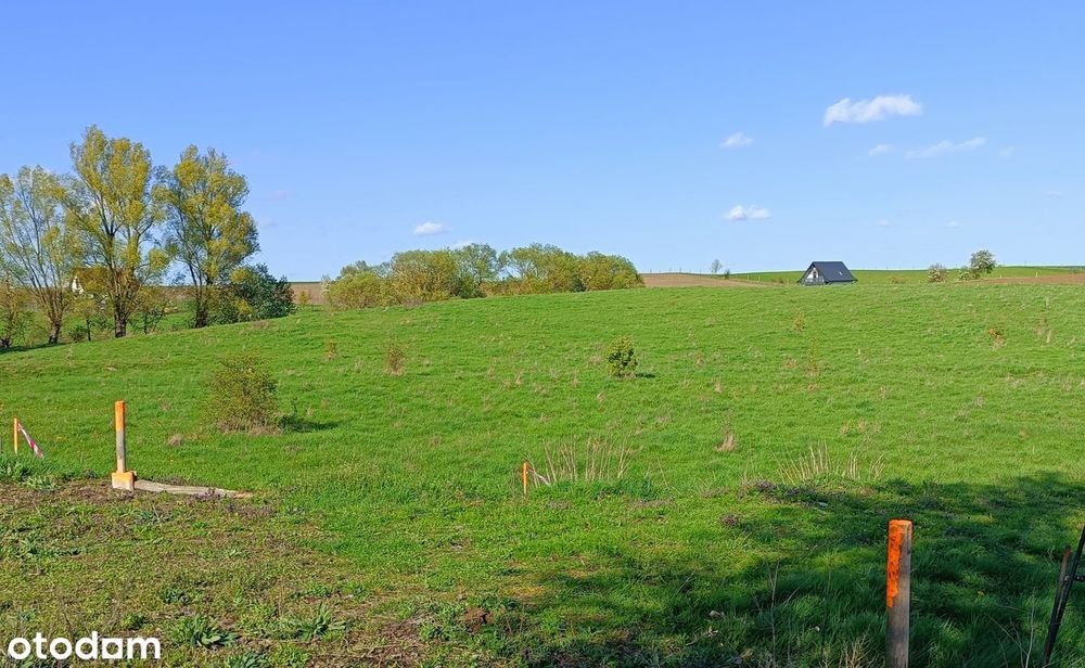 Działka budowlana, Nowe Guty, Jezioro Śniardwy - View 5