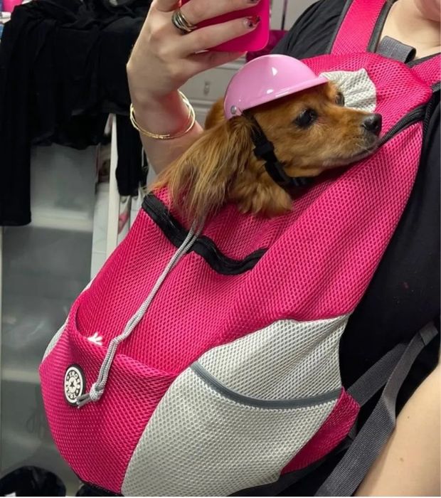 Рюкзак для переноски домашних животных