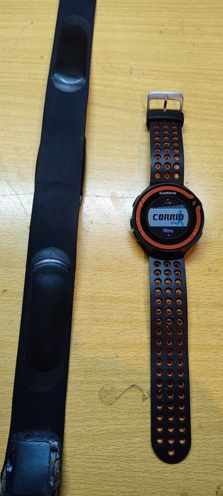 Garmin Forerunner 220