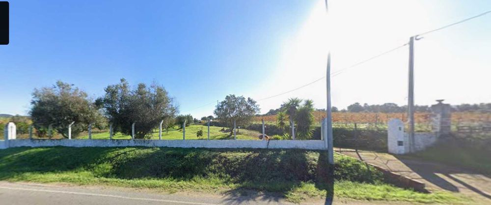 Terreno rústico situado na Vidigueira