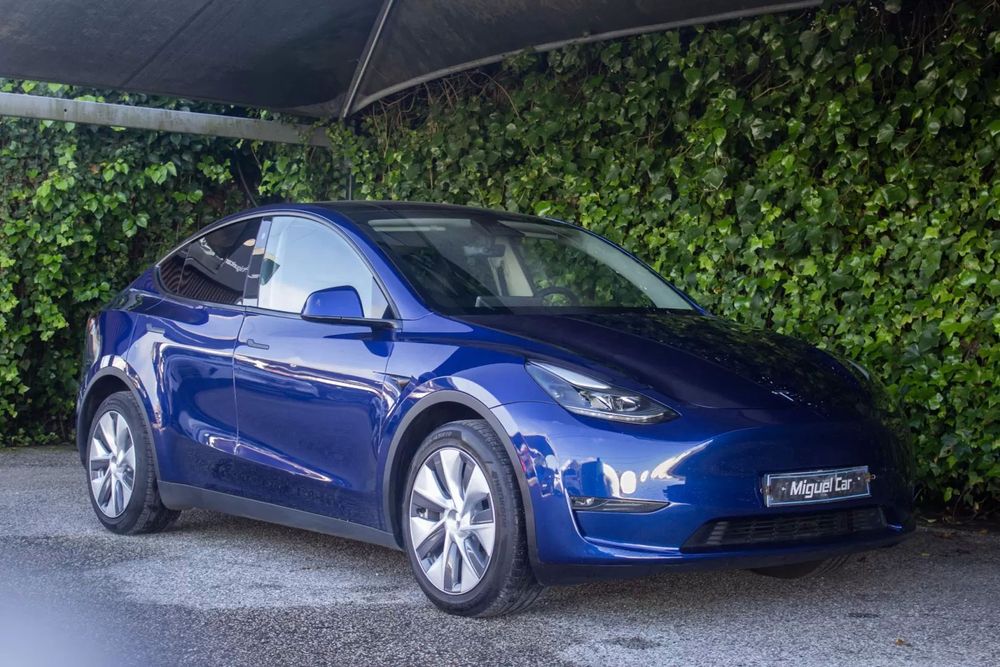 Tesla Model Y Long Range Tração Integral