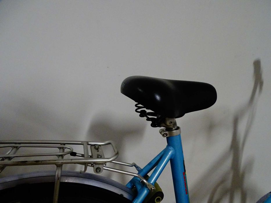 Rower Batavus Flash