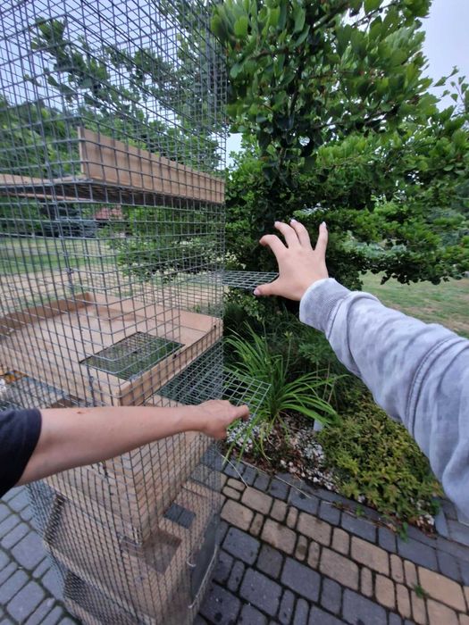 Bardzo ładna, solidna klatka dla zwierzaka plus akcesoria